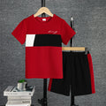 2pcs Boys Casual Colorblock Short Sleeve T-shirt & Shorts Set, Comfy Summer Kids Clothes
